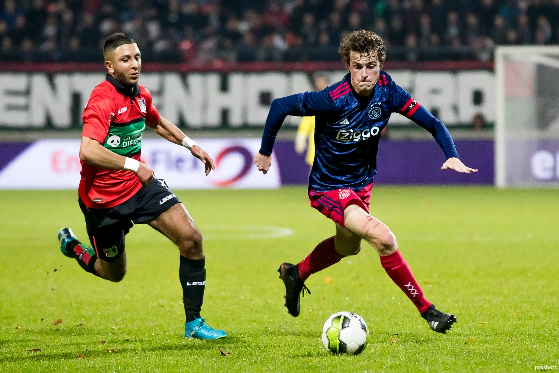 bergsma ajax