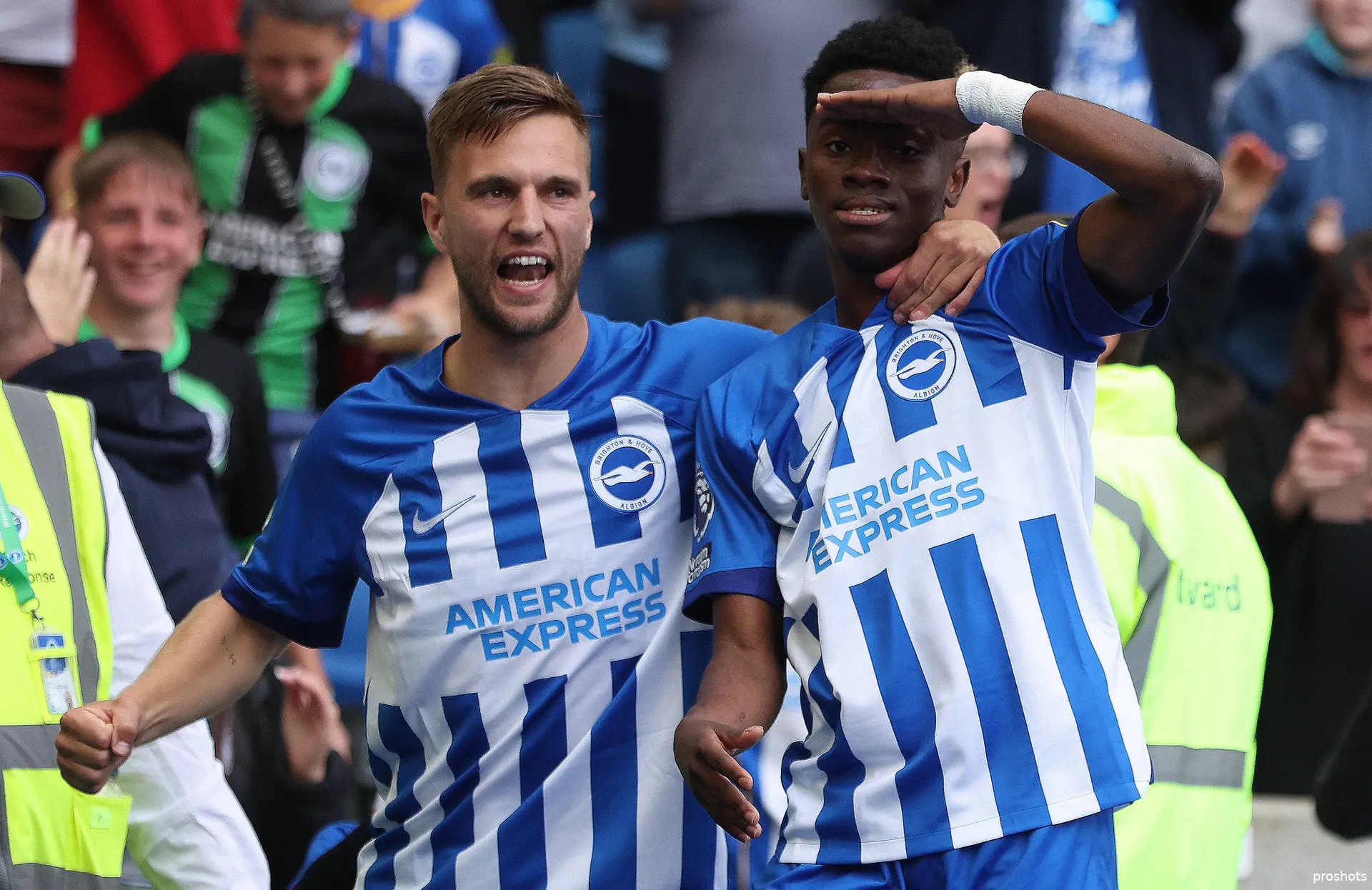 joel veltman brighton and hove albion