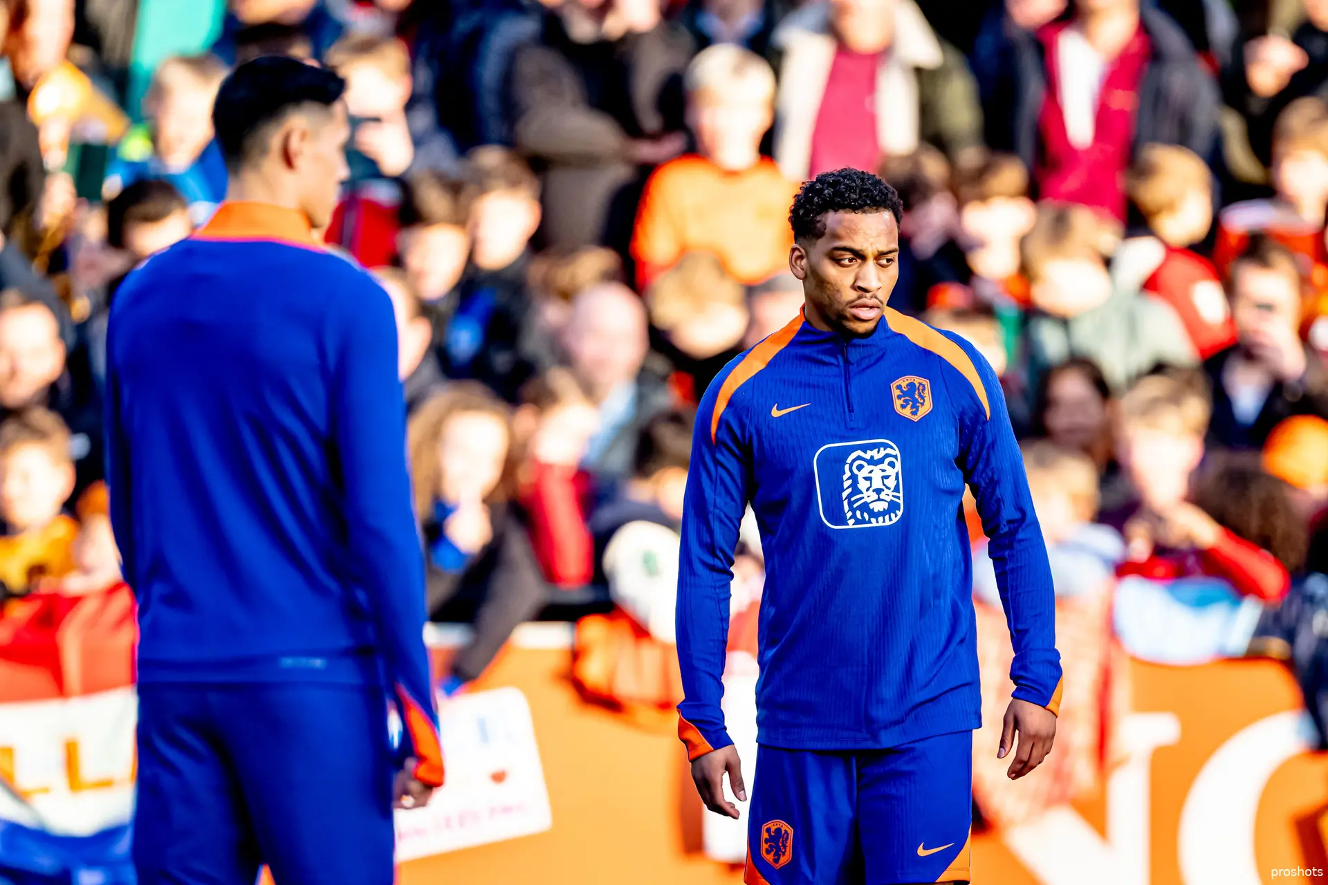 quinten timber oranje
