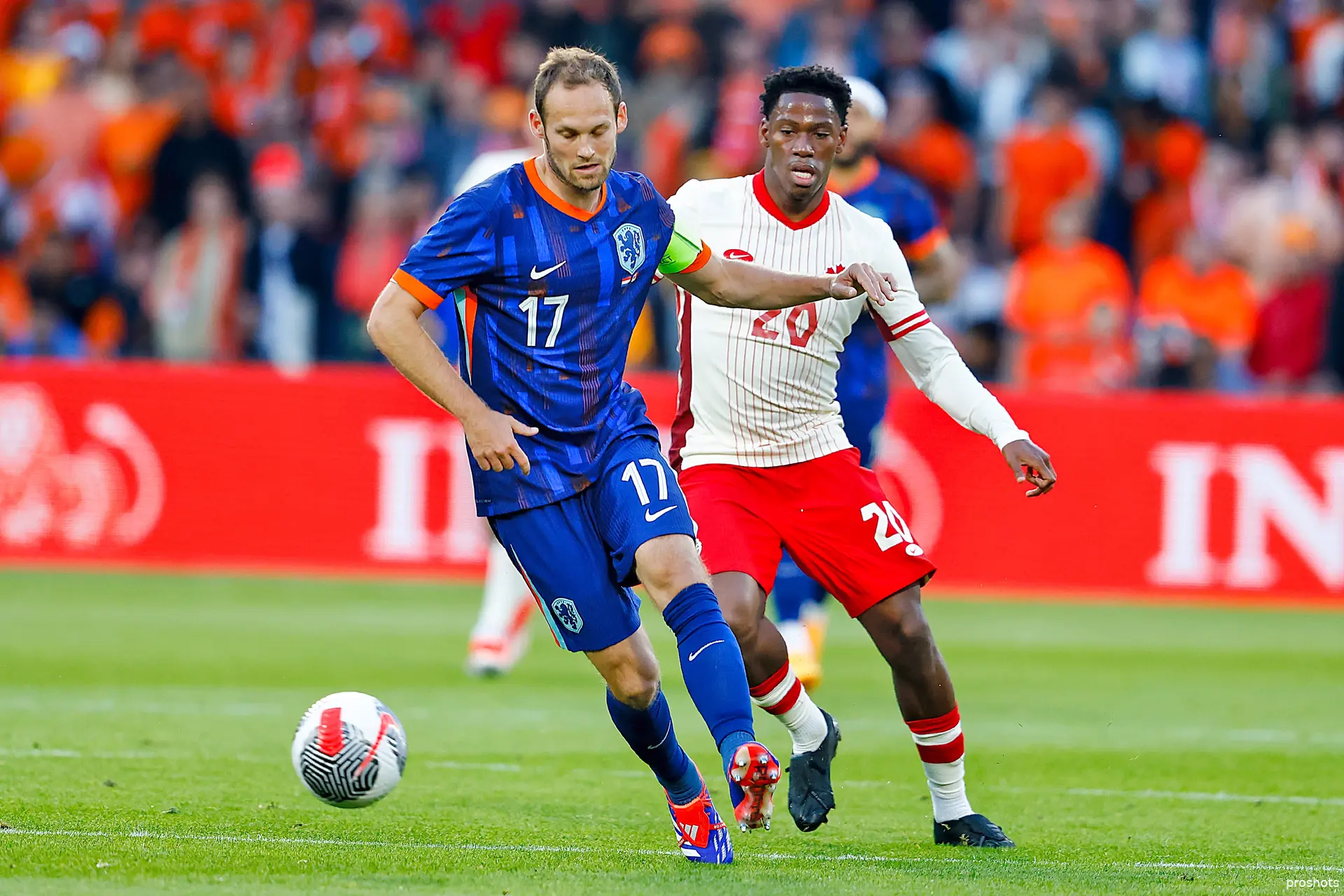 daley blind nederland canada