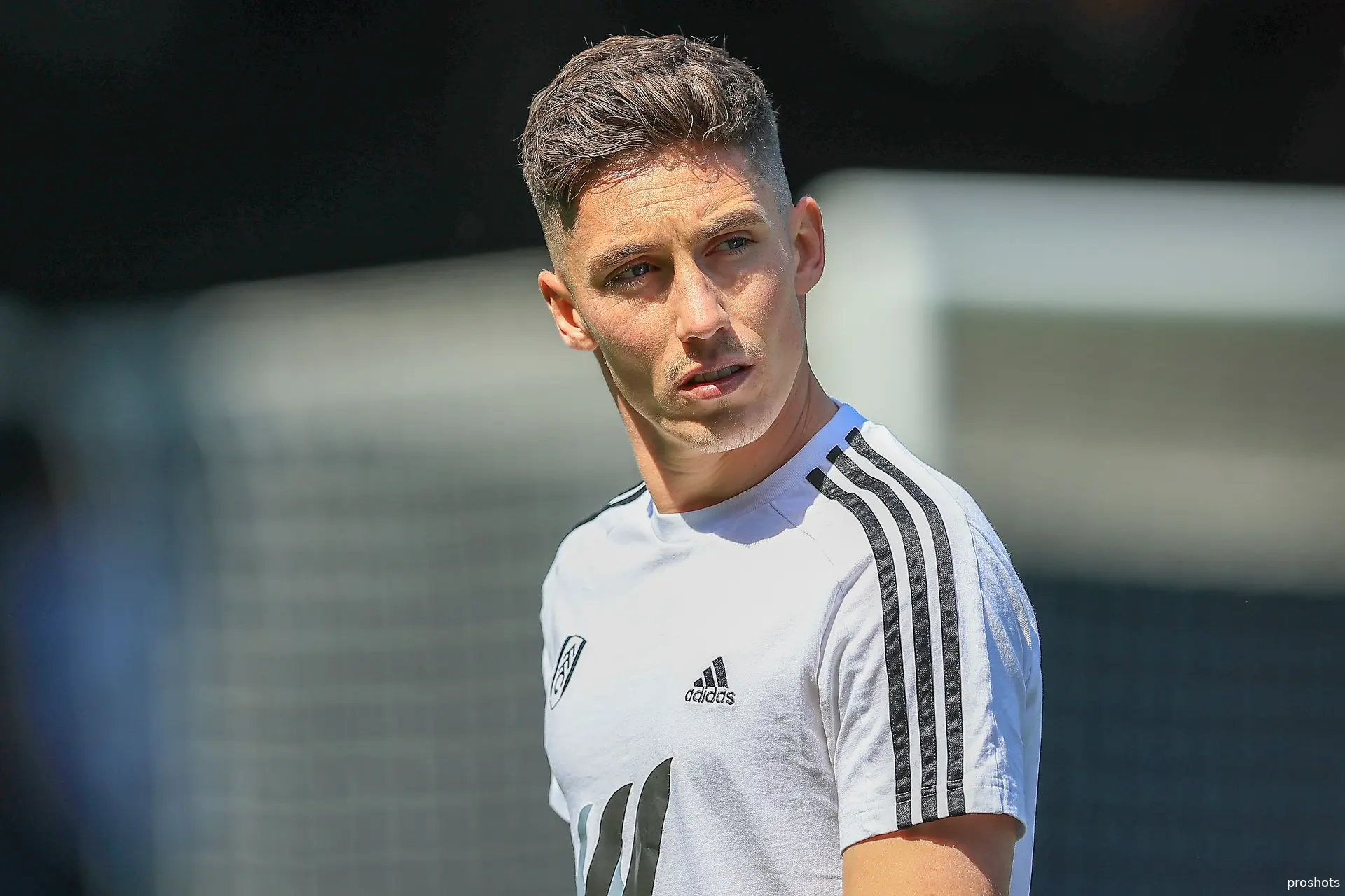 harry wilson fulham