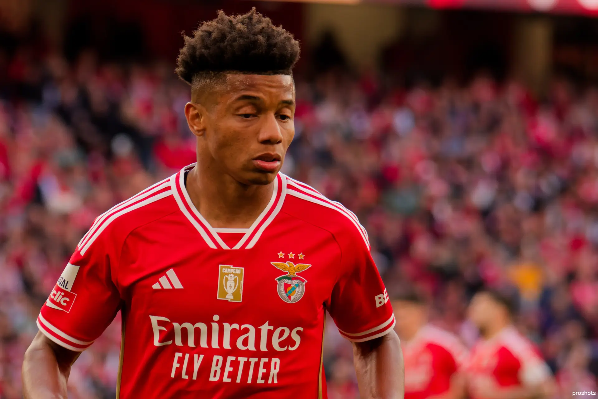 david neres benfica