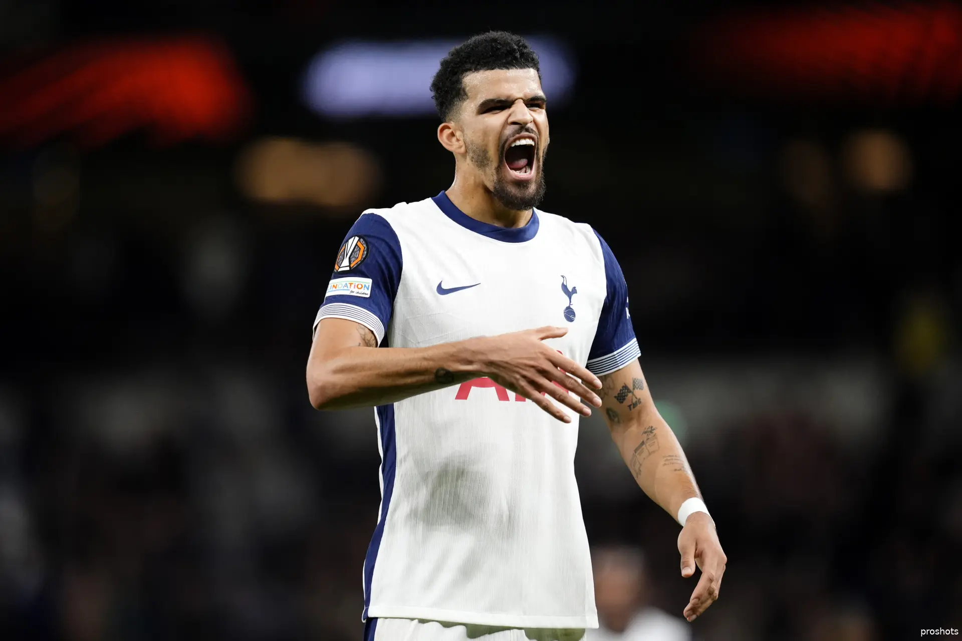 dominic solanke tottenham hotspur