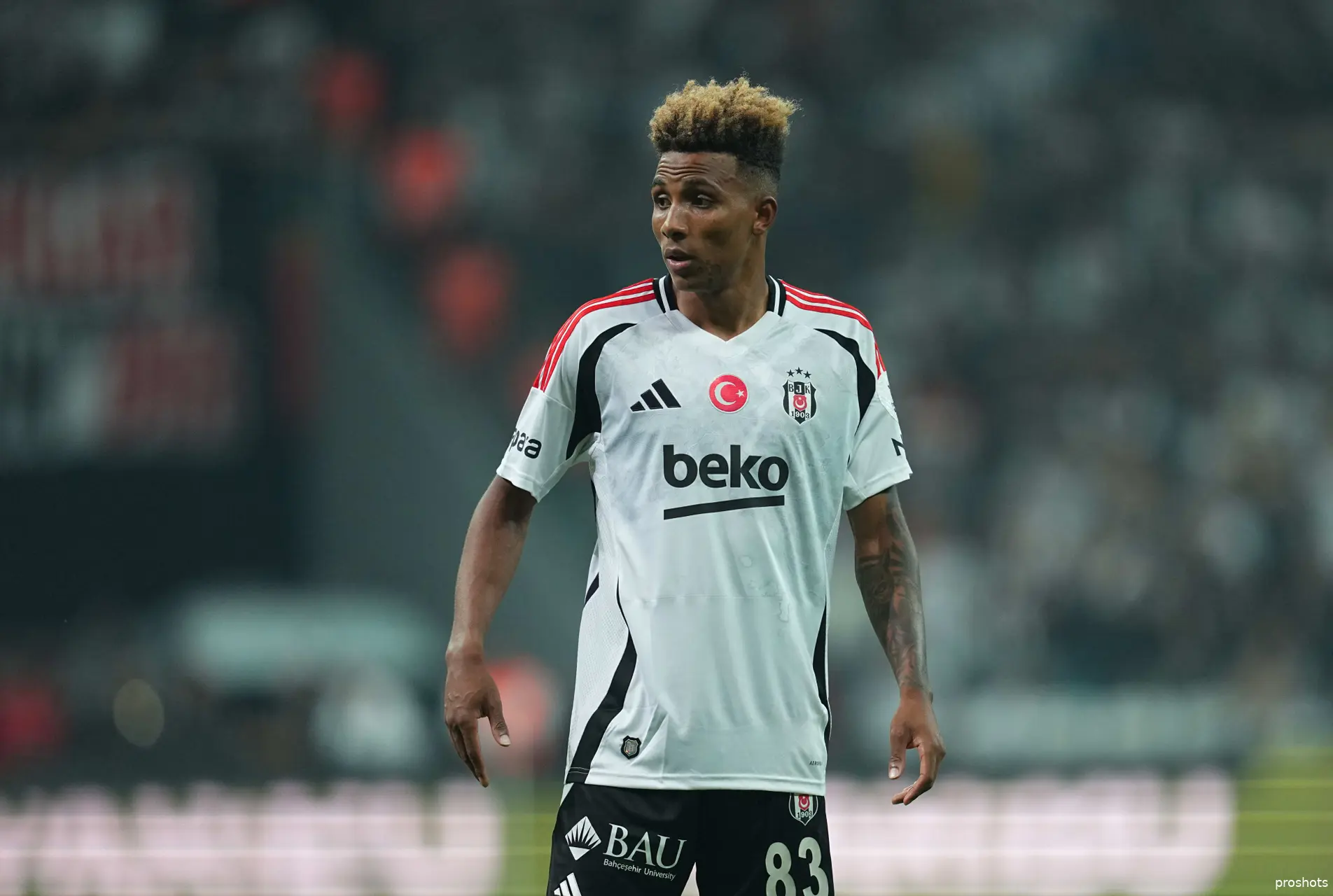 gedson fernades besiktas