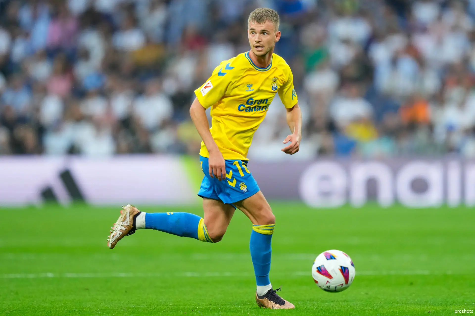 daley sinkgraven las palmas