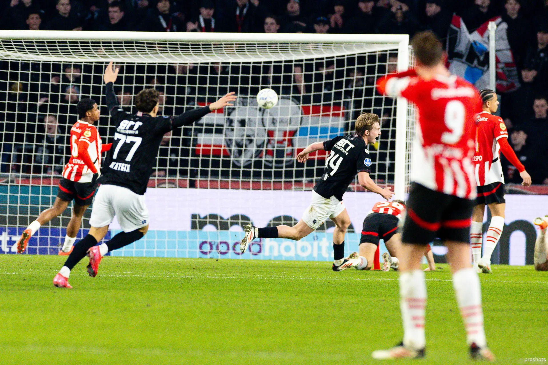psv willemii tirpan