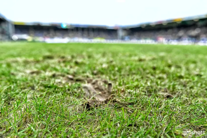 Het veld in Sittard deed nog het meest denken aan een knollentuin.