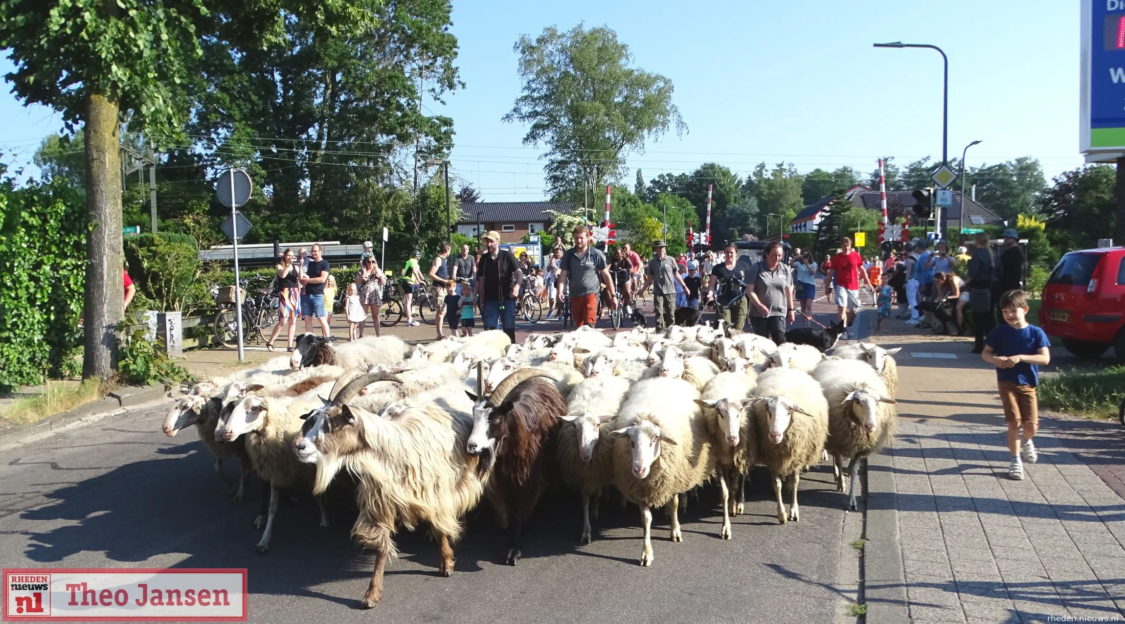 bonte schaap festival 2023 1