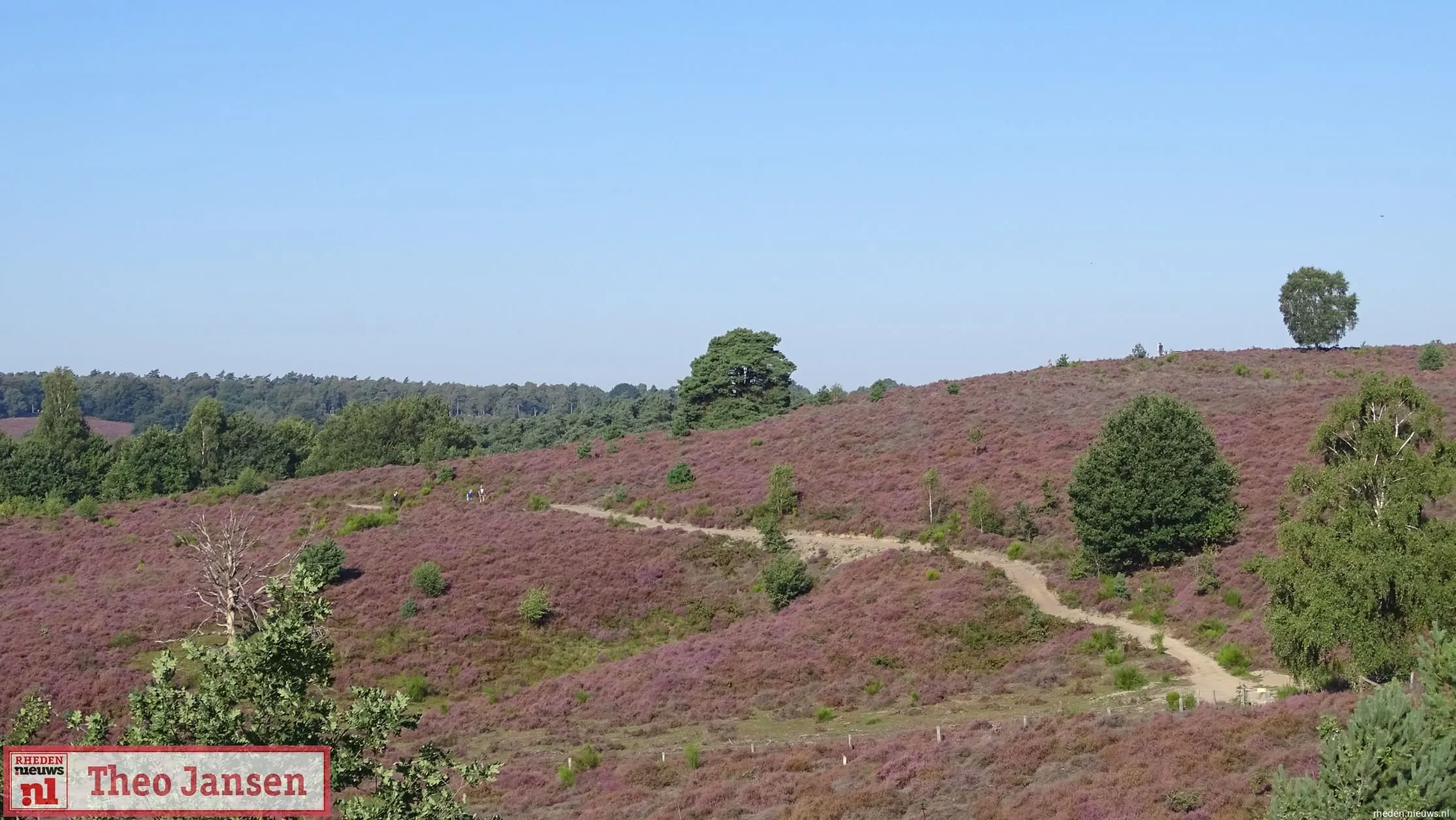 heideschouw gec3abrfden van velp 2019 15 1