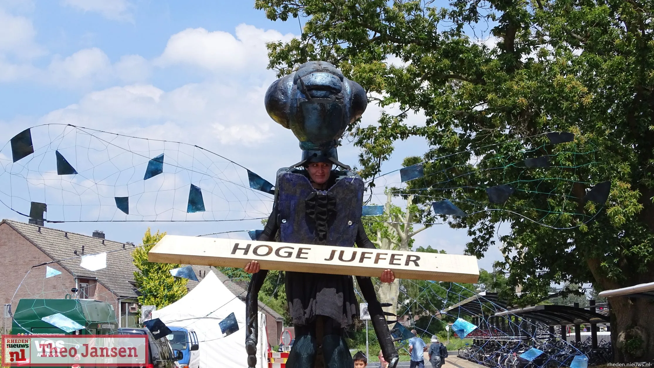 traverse dieren noordzijde hoge juffer 22 06 2019 10