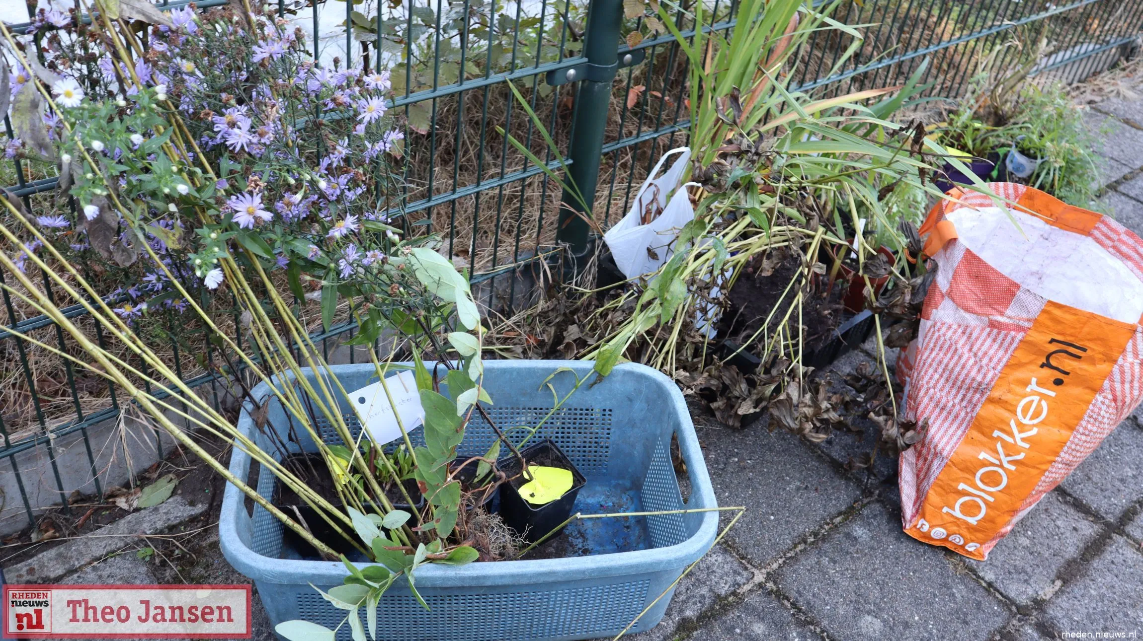 Ruilmarkt voor tuinplanten en zaden in Oud Dieren