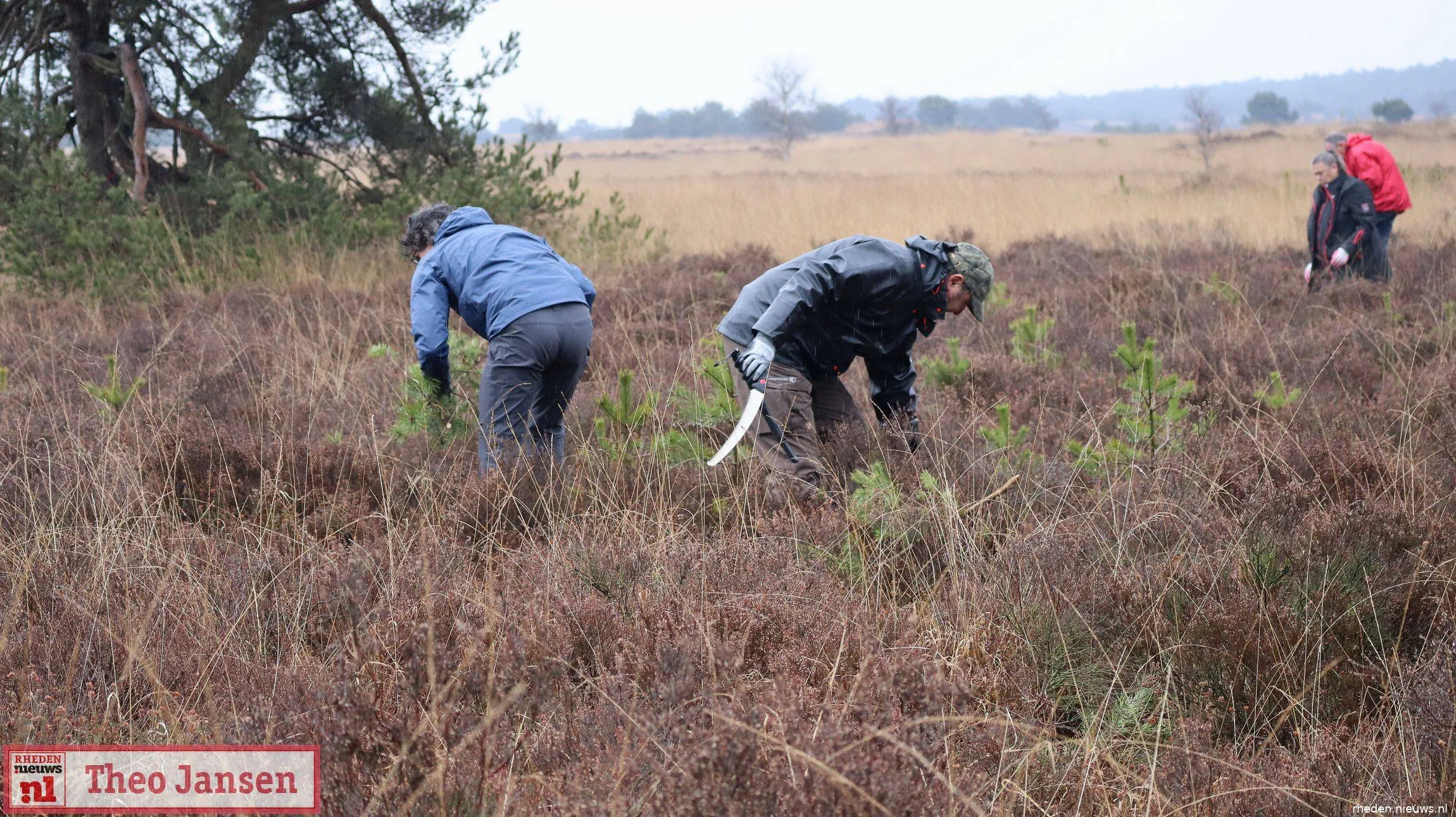 Heidewerkdag 2026 op het Rozendaalse Veld