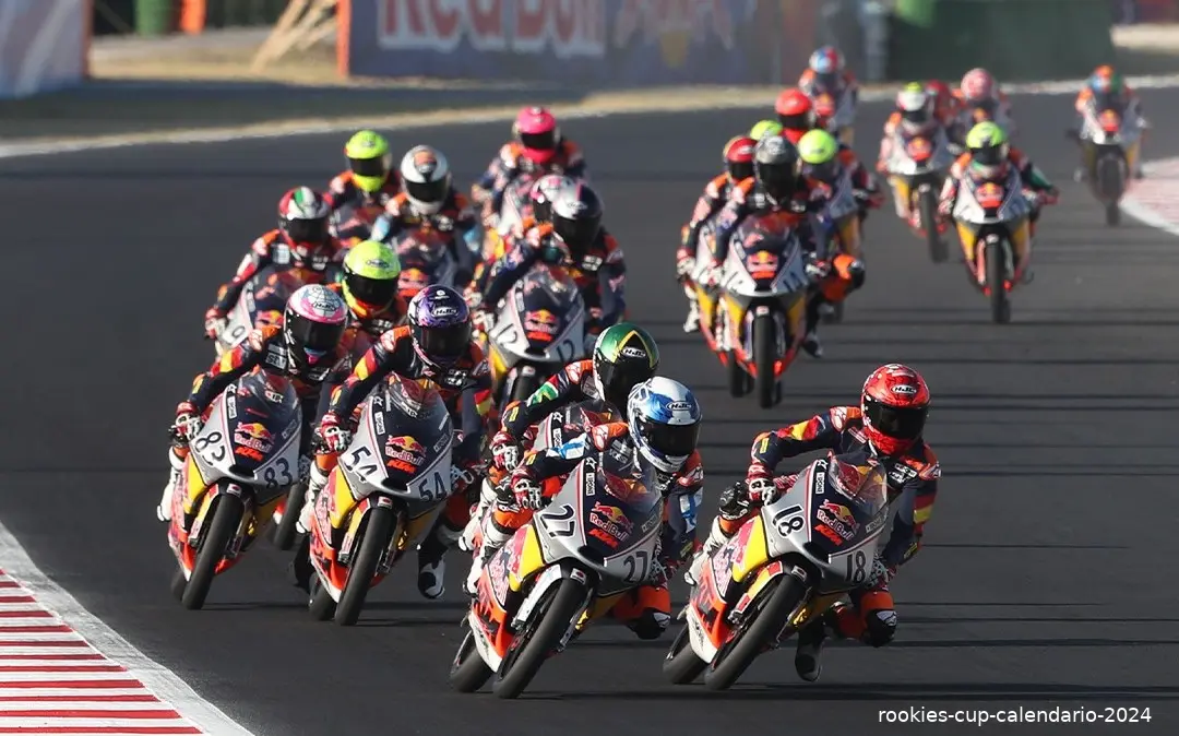 rookies cup calendario 2024