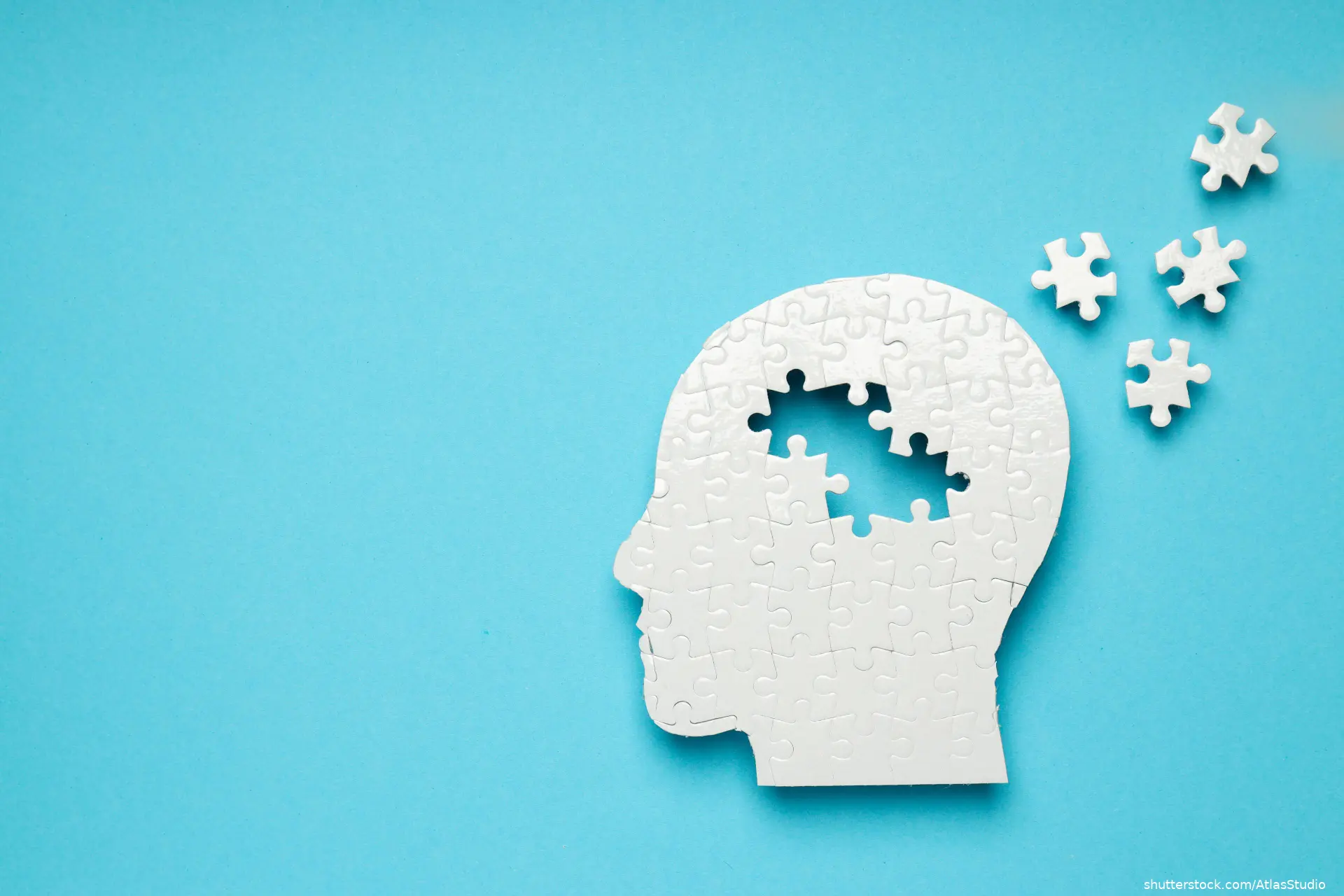 puzzle shade like a human head with pieces missing