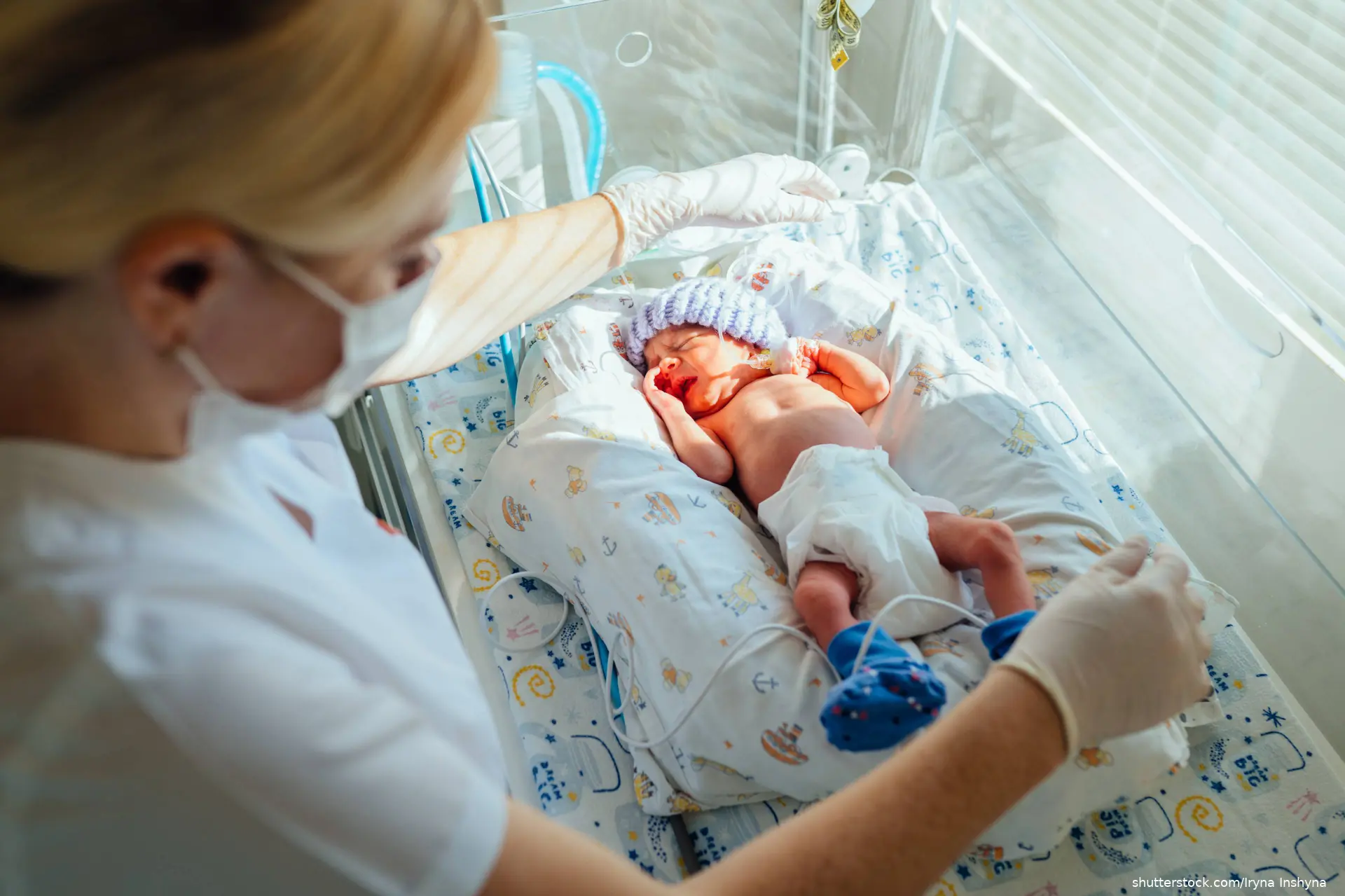 neonate in NICU