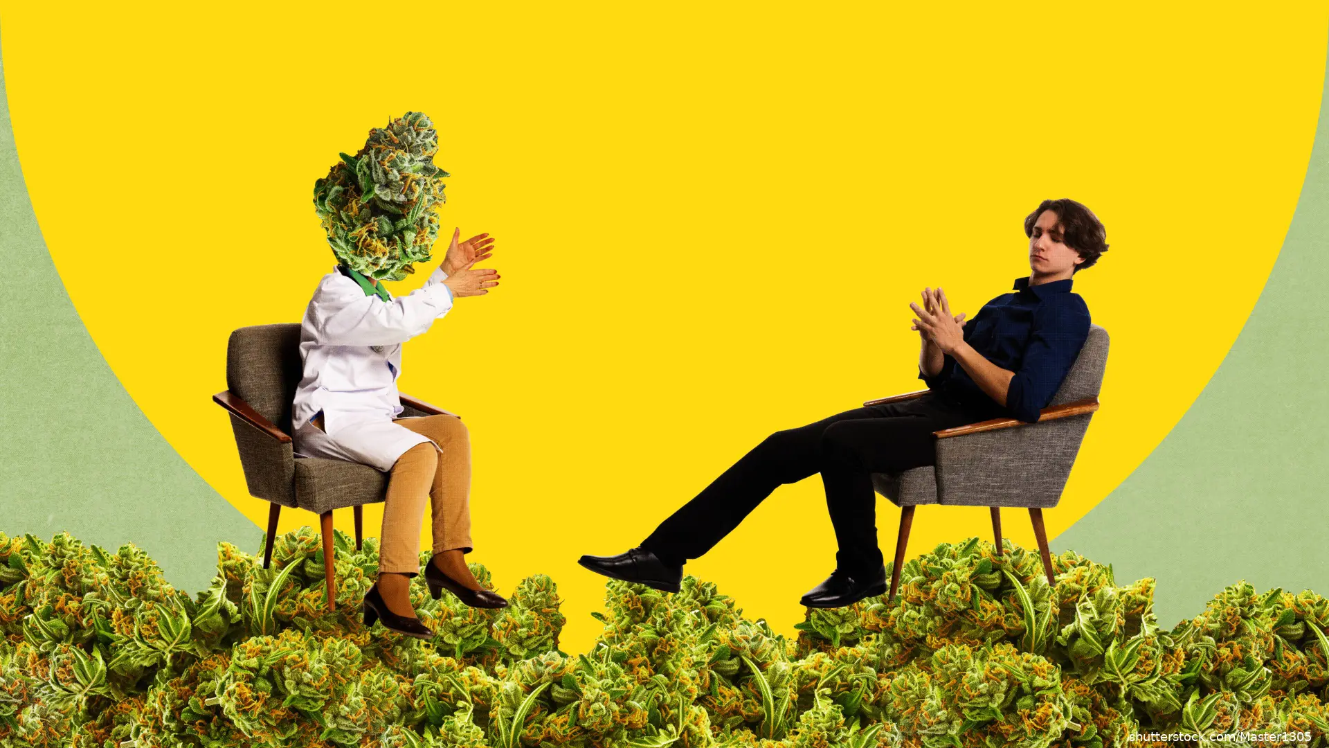 Satirical image of patient meeting with psychiatrist with cannabis scattered throughout