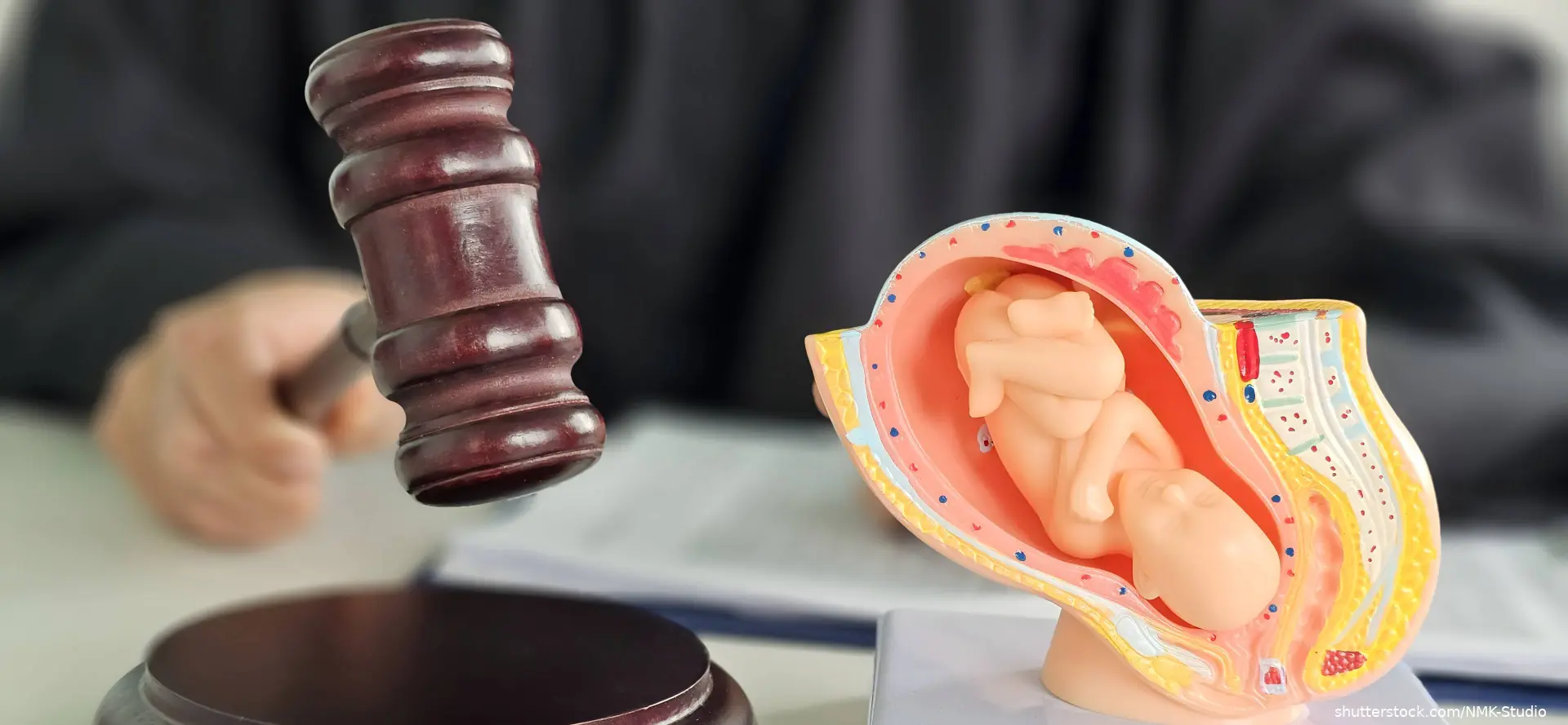 gavel being held by judge next to model of fetus in womb