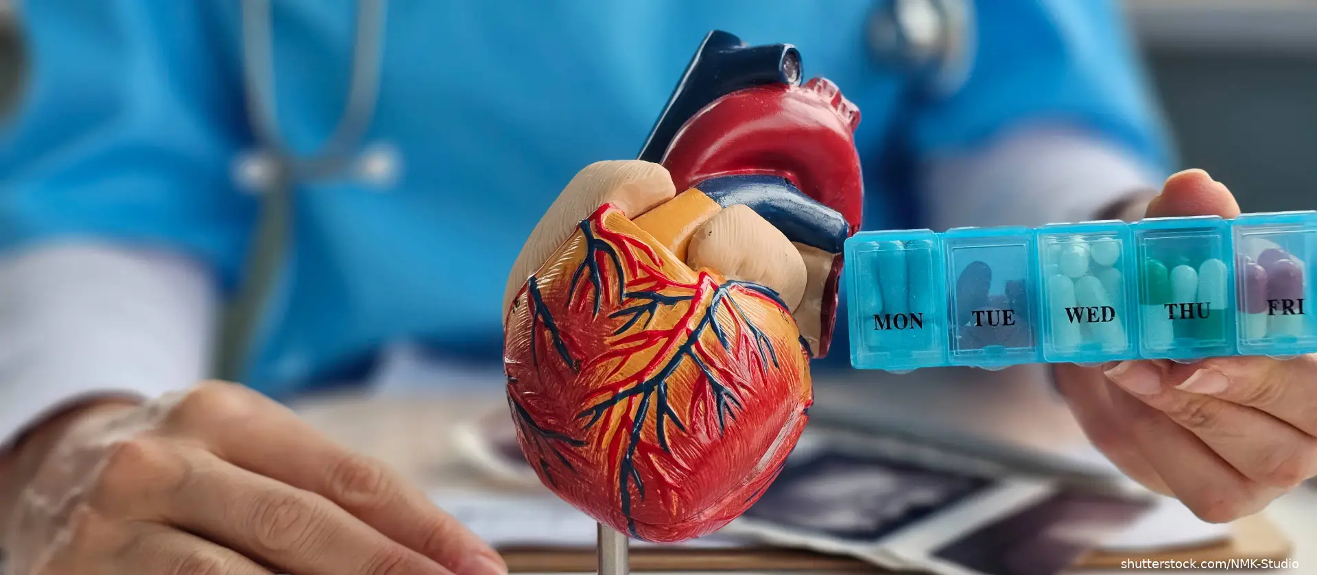 Heart anatomy and pills in hands of cardiologist