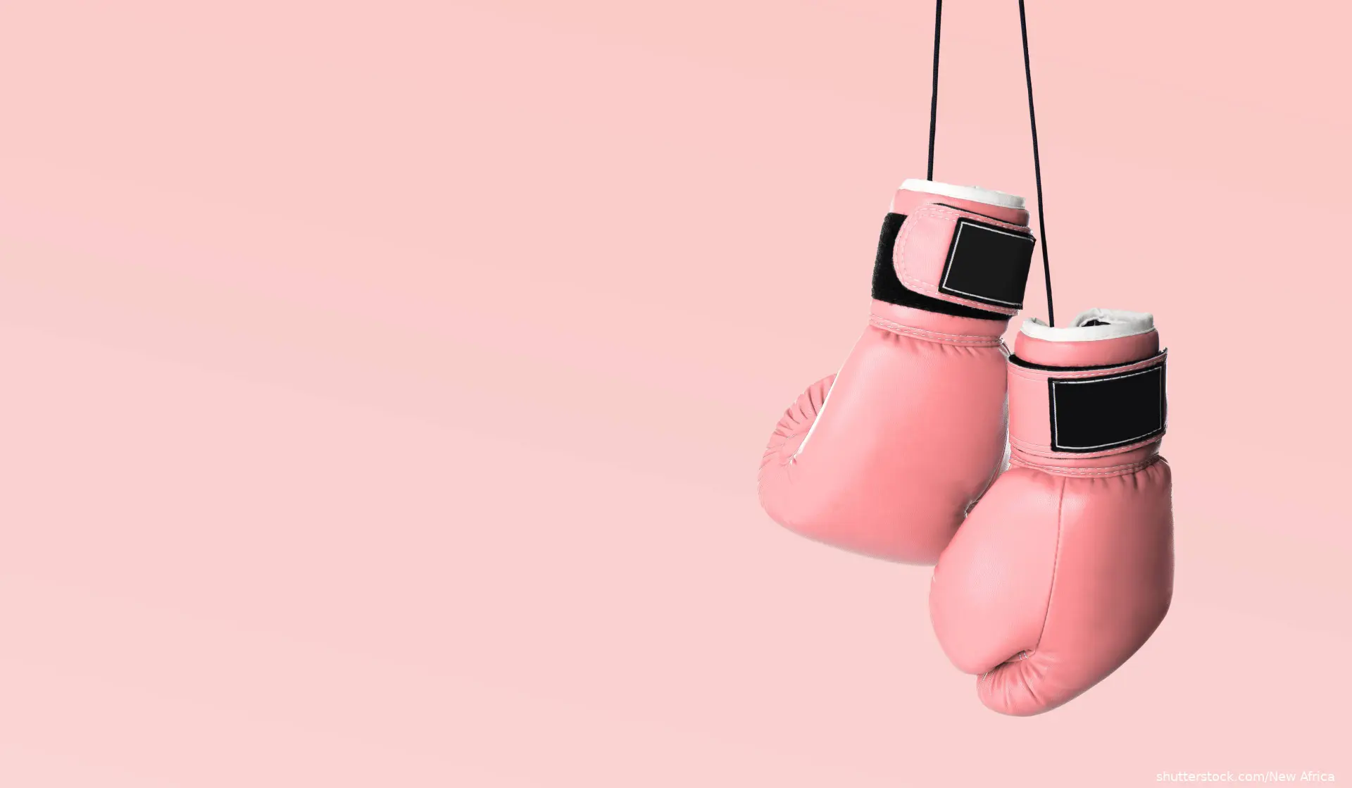 hanging pink boxing gloves