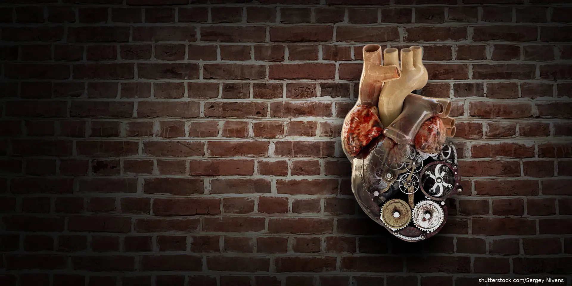 image of heart with mechanical parts