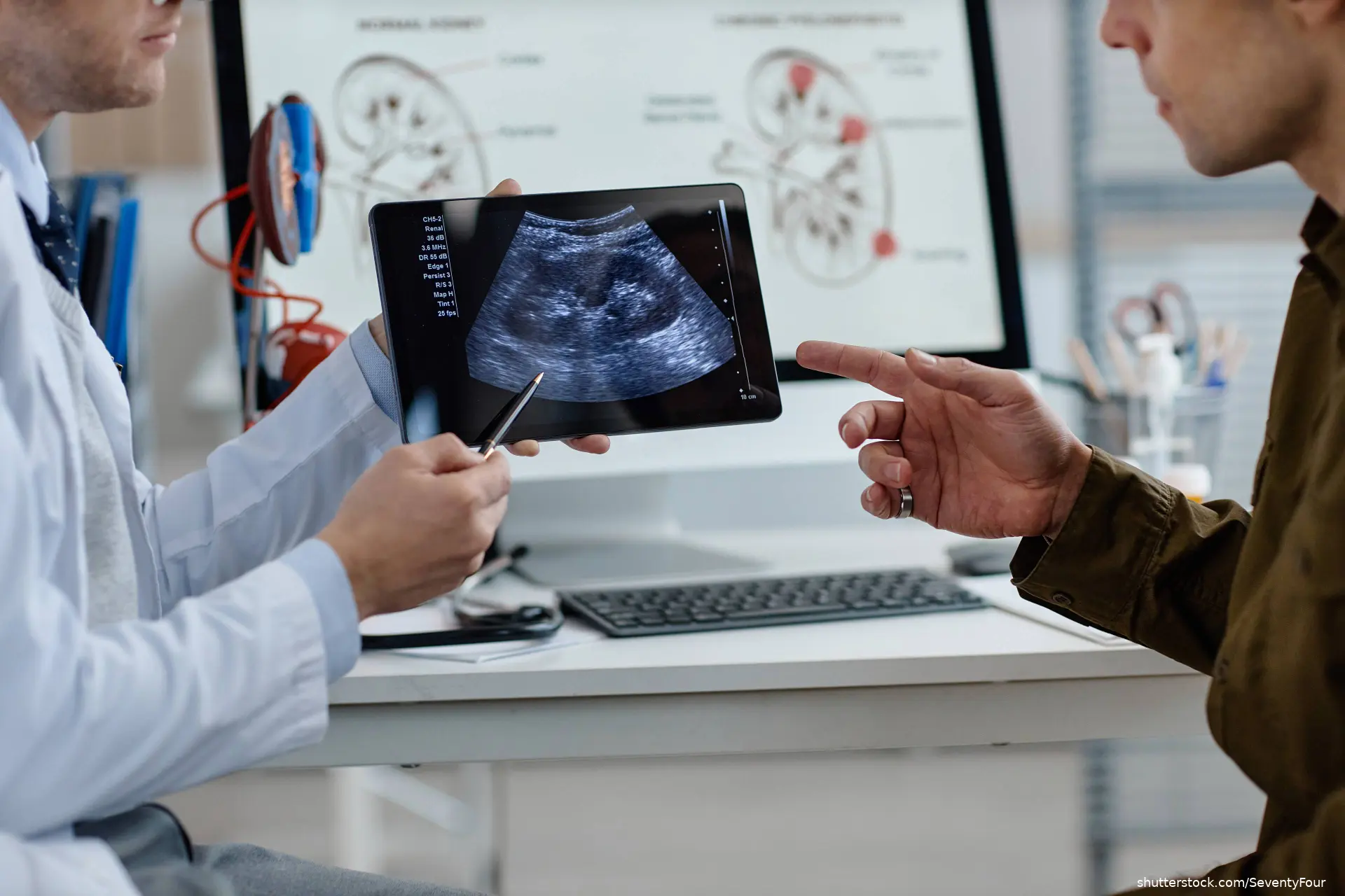 urologist showing ultrasound of kidney