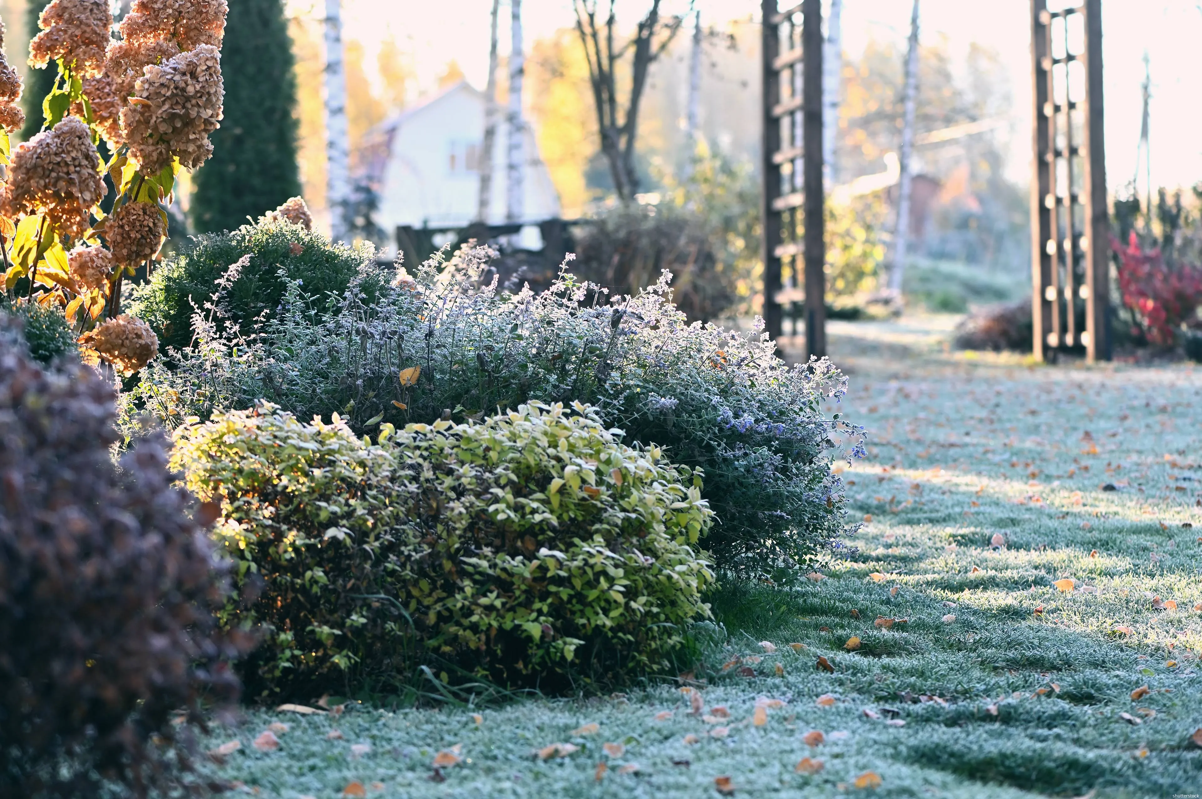 tuin winter