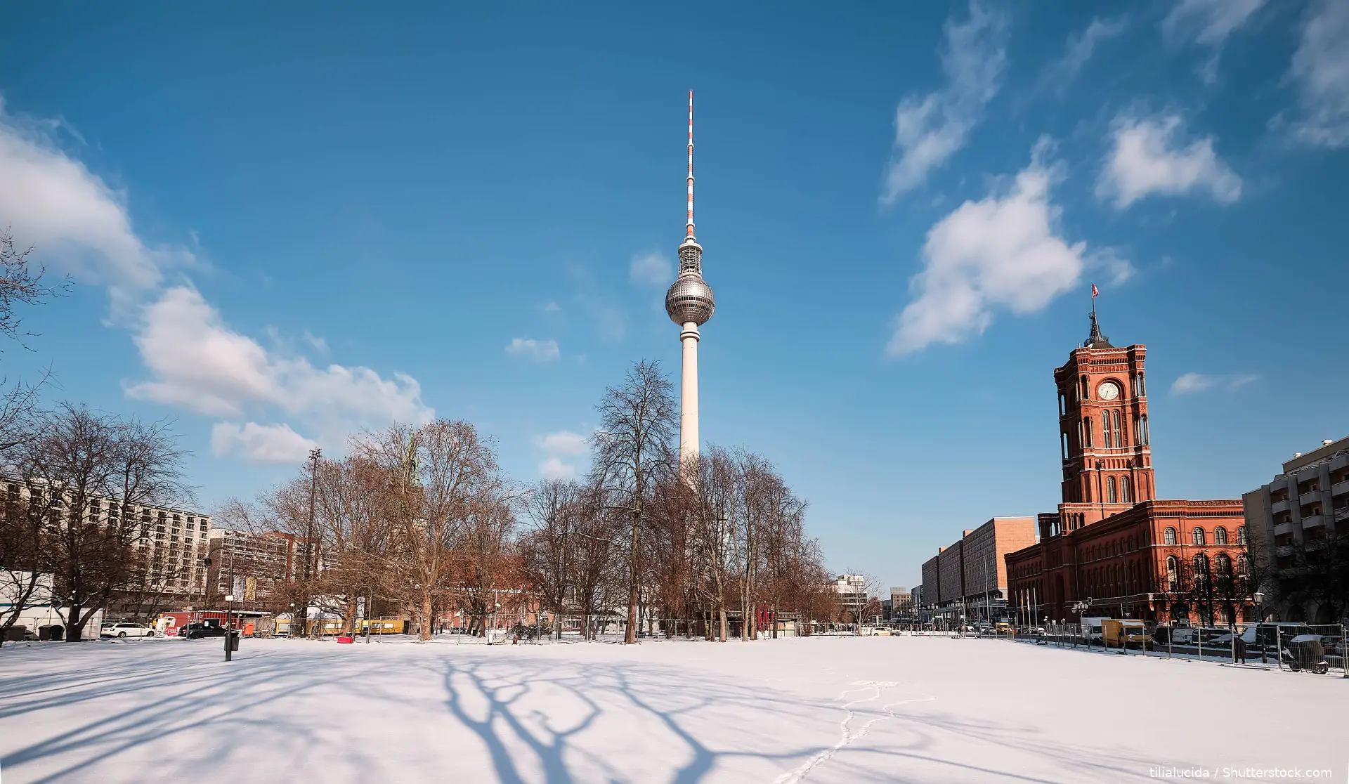 shutterstock_1917250223