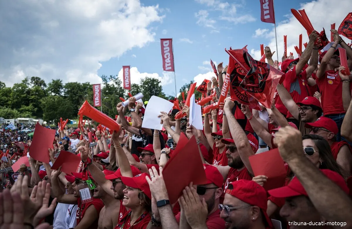 tribuna ducati motogp