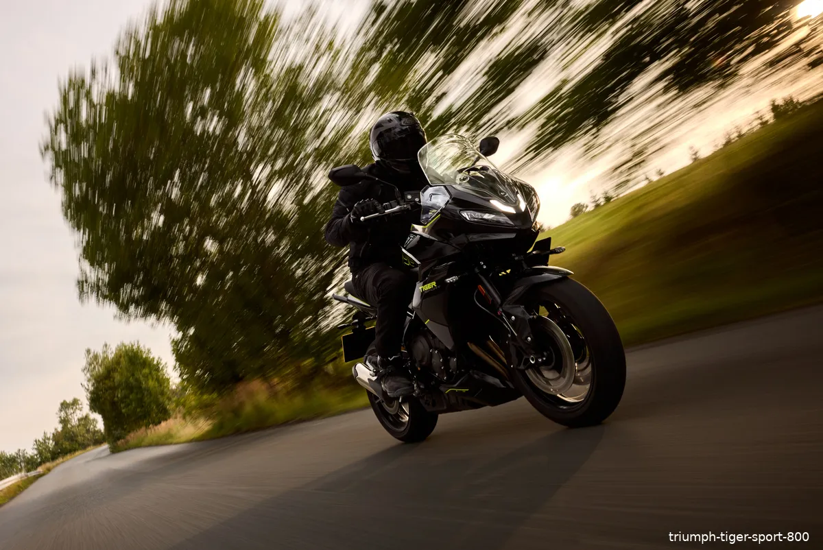 acc tigersport800 my25 07606 jp