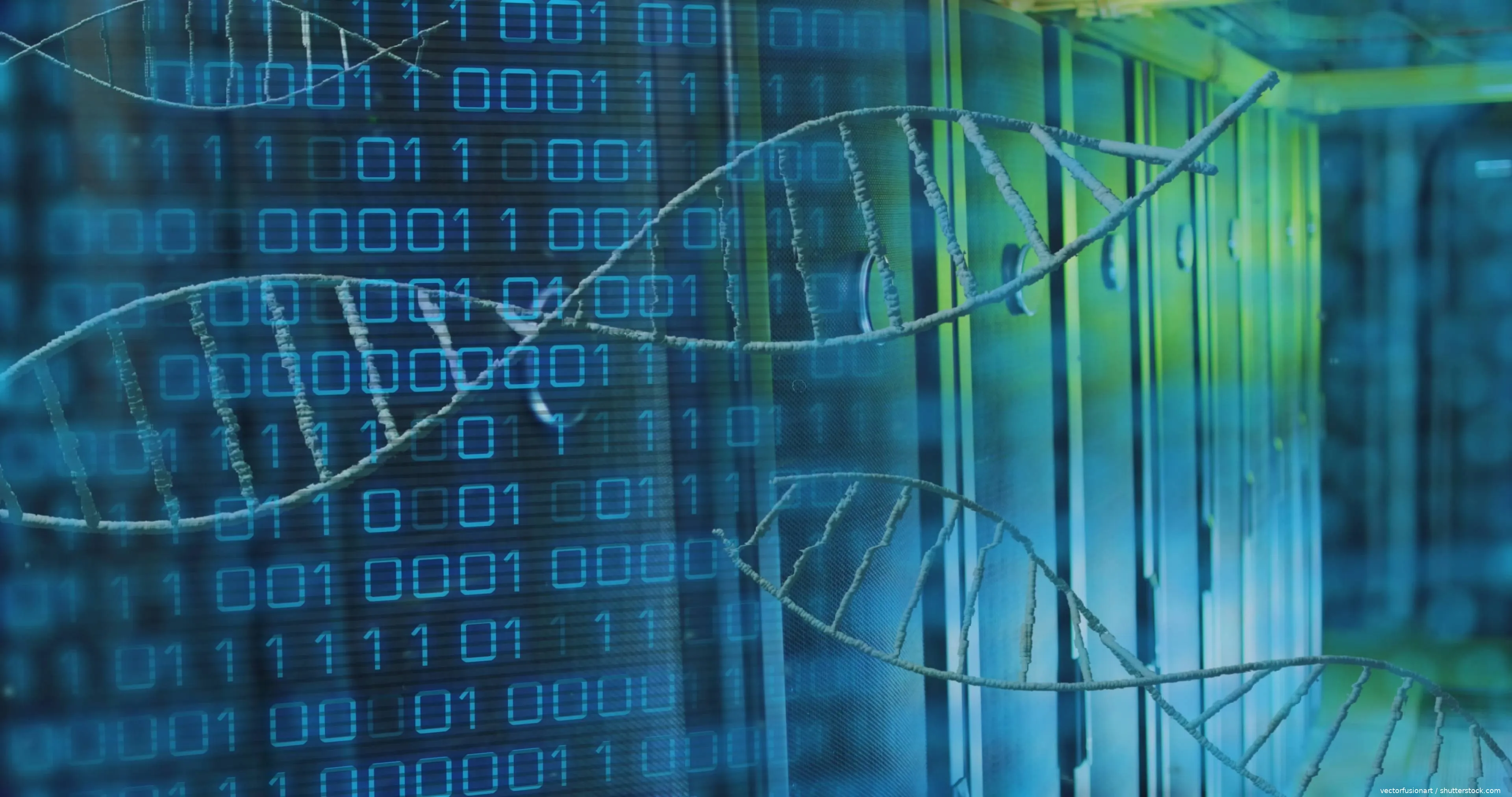 shutterstock_2527839667