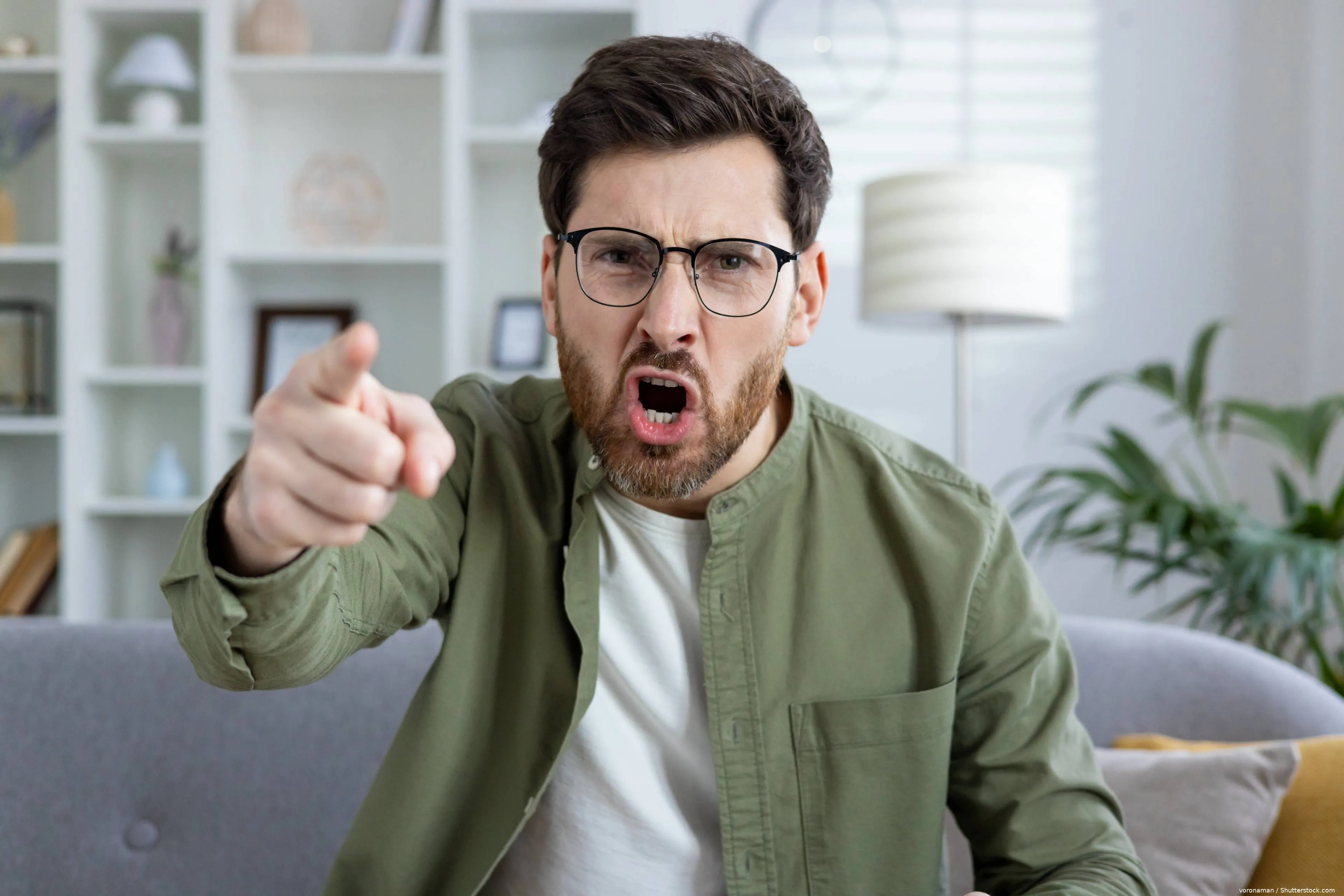 shutterstock_2462391855