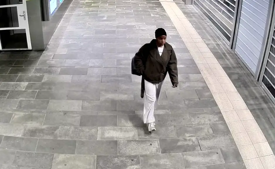 Vermist