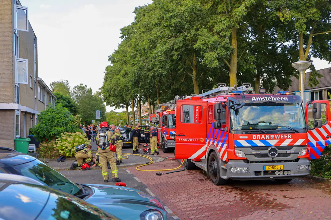 Brand