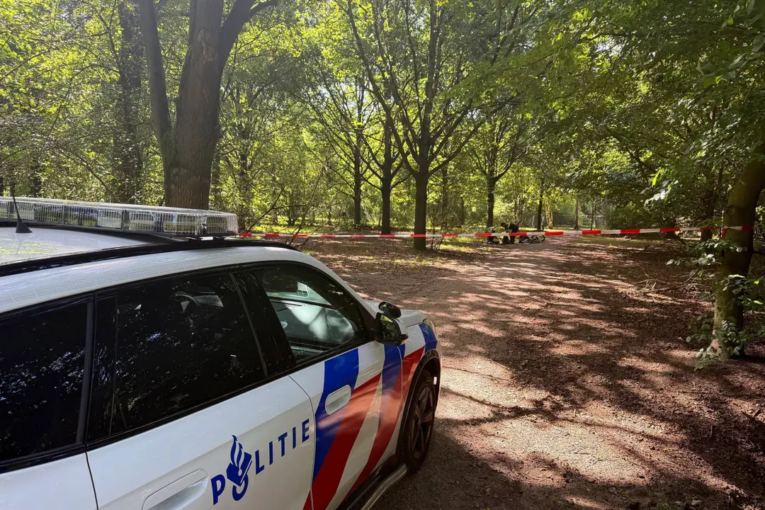 Steekpartij bos