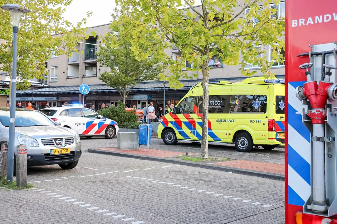 Veegwagen Leeuw
