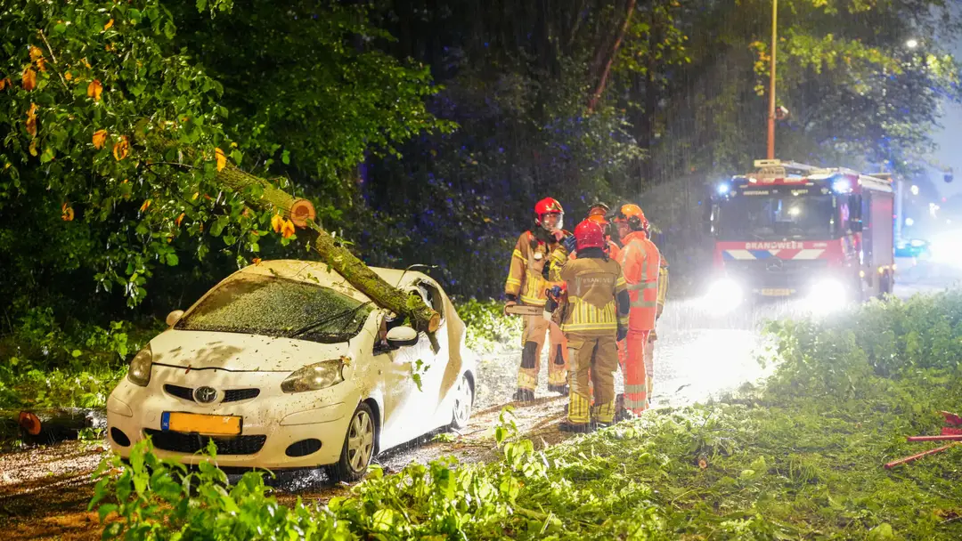 Auto op boom kopie