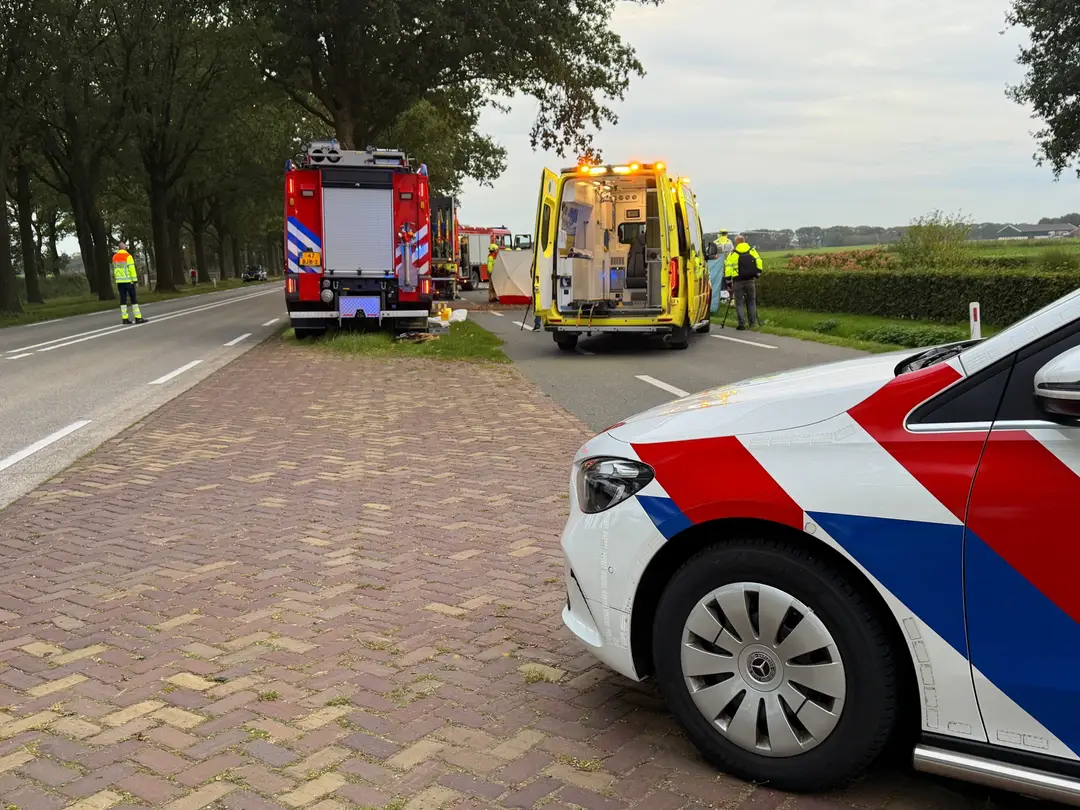 Automobilist op boom in Odiliapeel