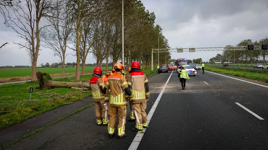 Boom op auto A7
