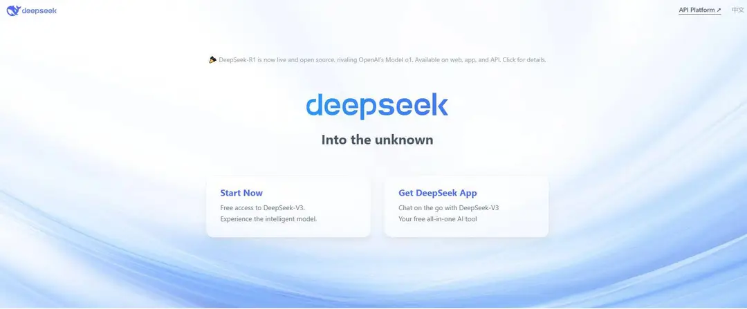 DeepSeek interface