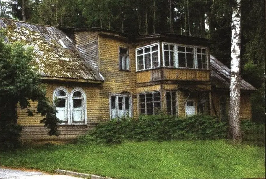 birst silvan 2009 616