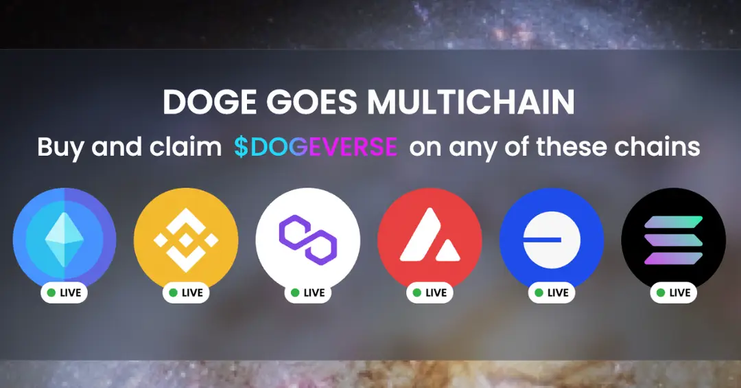 dogeverse 2