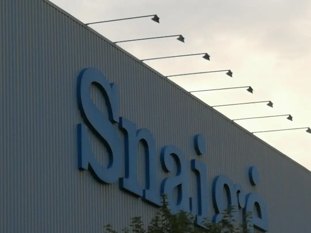 snaig scaled