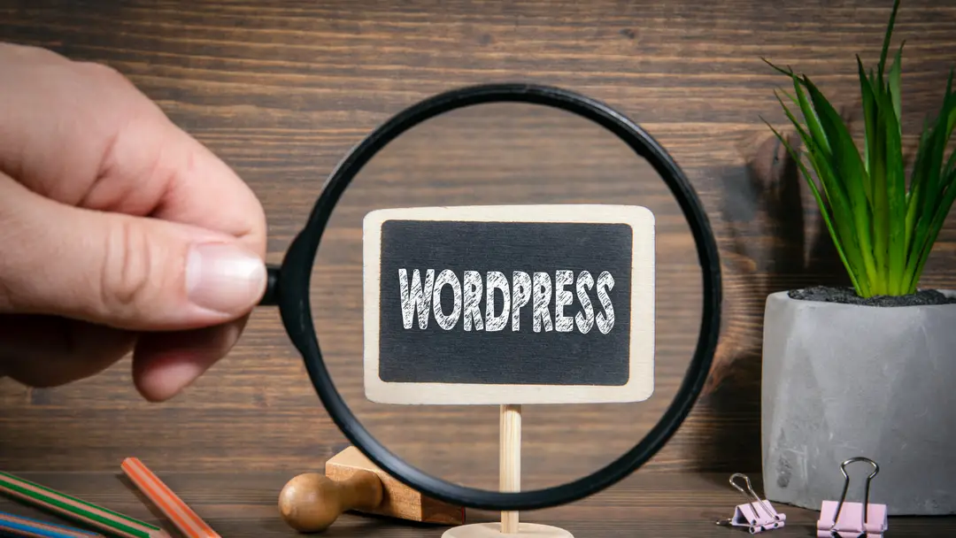 wordpress svetainiu kurimas