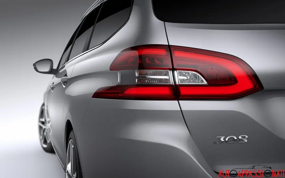 Nuova Peugeot SW 2014  06