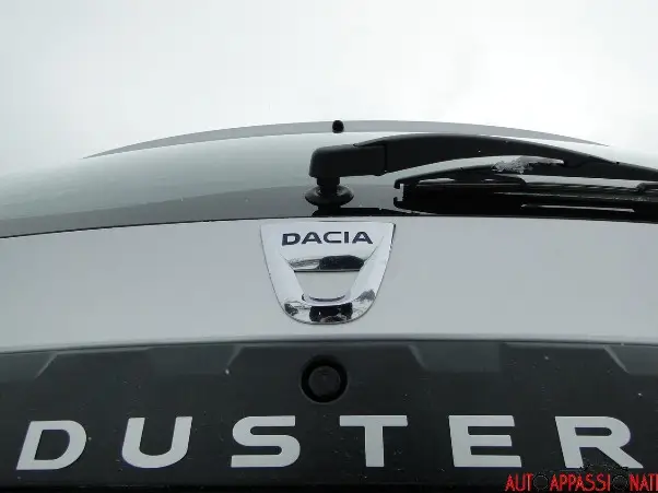 duster 5