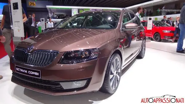 ginevra 2014 004