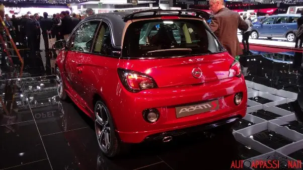 ginevra 2014 076