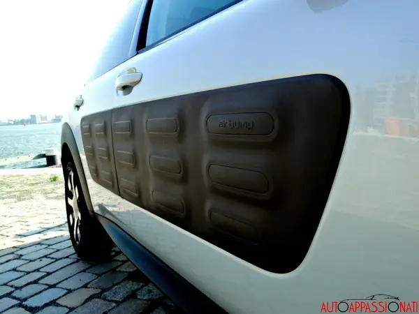 C4 Cactus 03