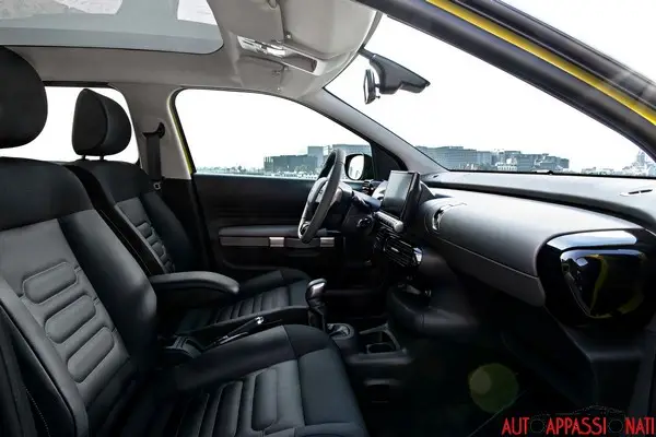C4 Cactus 04