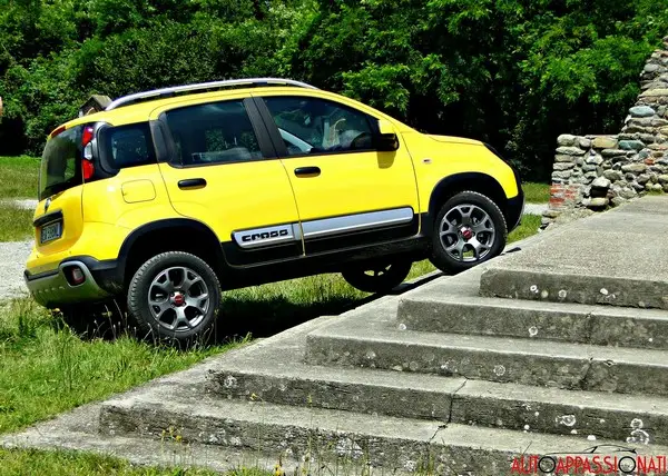 Panda Cross 02